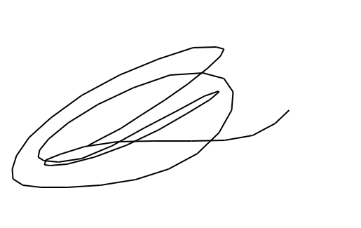 No Signature